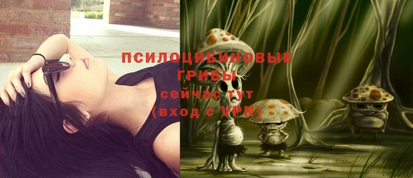каннабис Богородицк