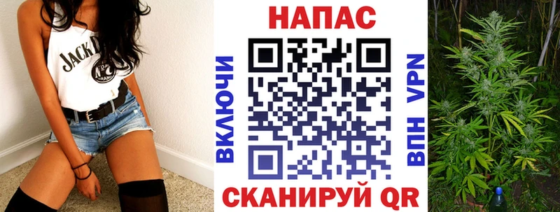 Бошки Шишки семена  как найти   Бугуруслан 